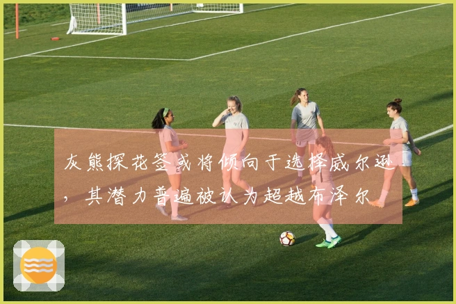 灰熊探花签或将倾向于选择威尔逊，其潜力普遍被认为超越布泽尔